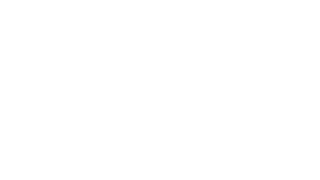 The Inbestigators