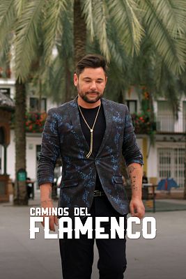 Caminos del Flamenco