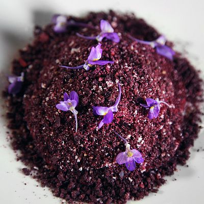 Expedición culinaria. Alimentos de la tierra