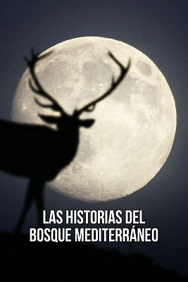 Las historias del bosque mediterráneo