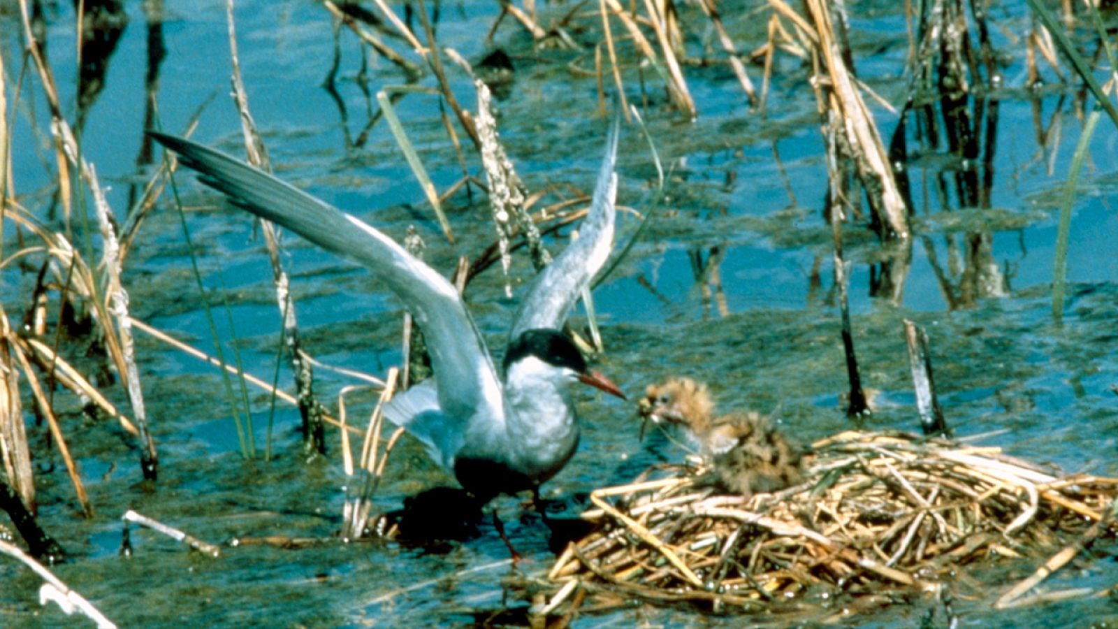 España húmeda - Fuentes de vida - España húmeda | Ver