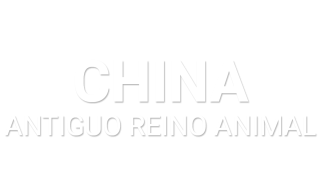 China Antiguo Reino Animal