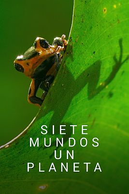 Siete mundos un planeta