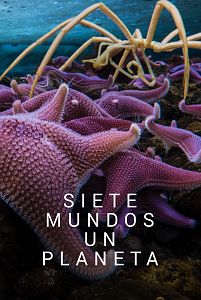 Siete mundos un planeta