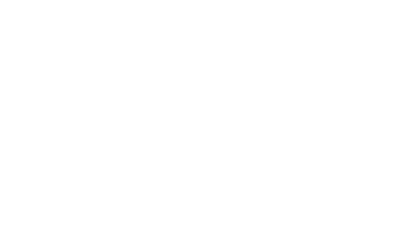 El escarabajo verde