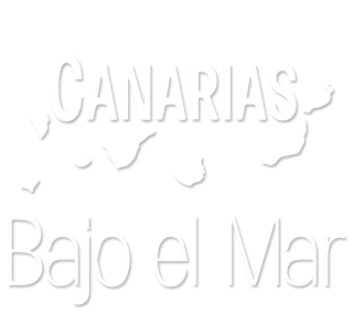 Canarias bajo el mar