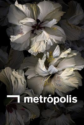 Metrópolis