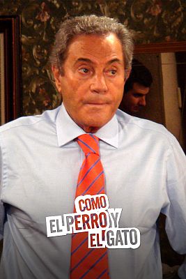 Como el perro y el gato