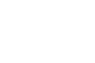 Elefantes de cerca