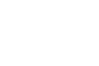 El estanque: un oasis animal