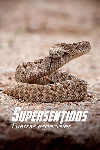 Supersentidos. Fuerzas especiales