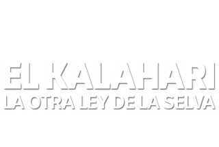 El Kalahari, la otra ley de la selva