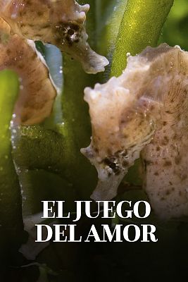 El juego del amor