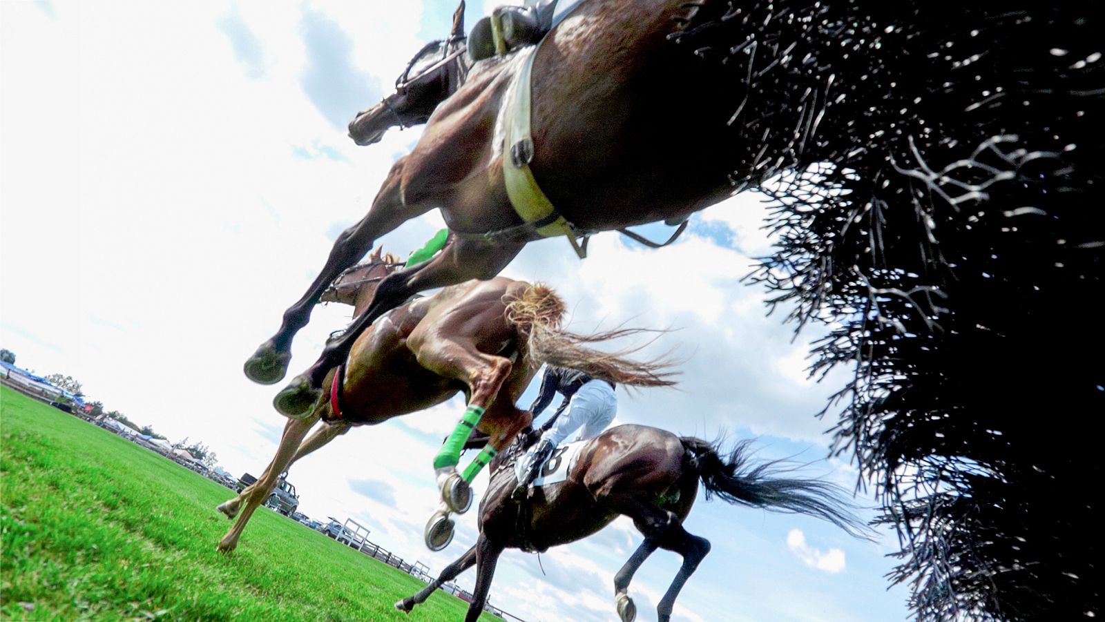 Turf - 08/03/15 - ver ahora