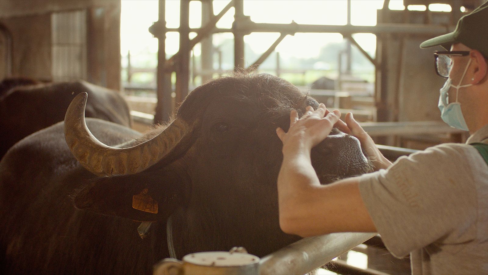 La Italia que gusta - Episodio 4: Territorios - ver ahora