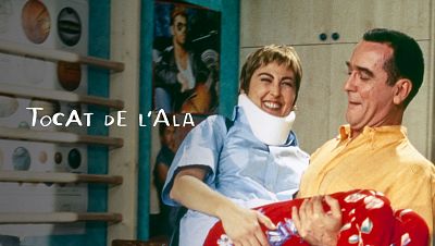 Tocat de l'ala