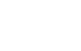 Operación Brooklyn