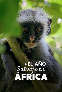 El año salvaje en África