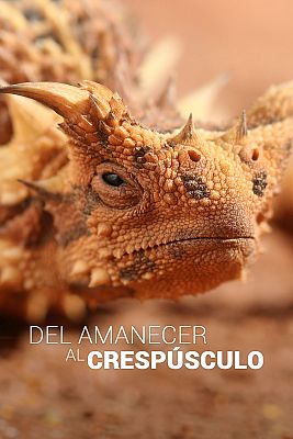 Del amanecer al crepúsculo