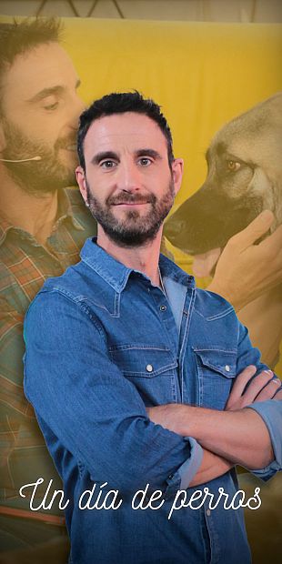 Un día de perros