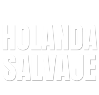 Holanda salvaje