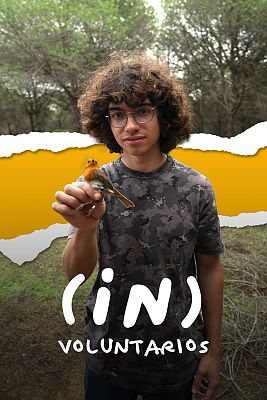 (IN)Voluntarios