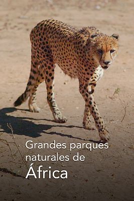 Grandes parques naturales de África