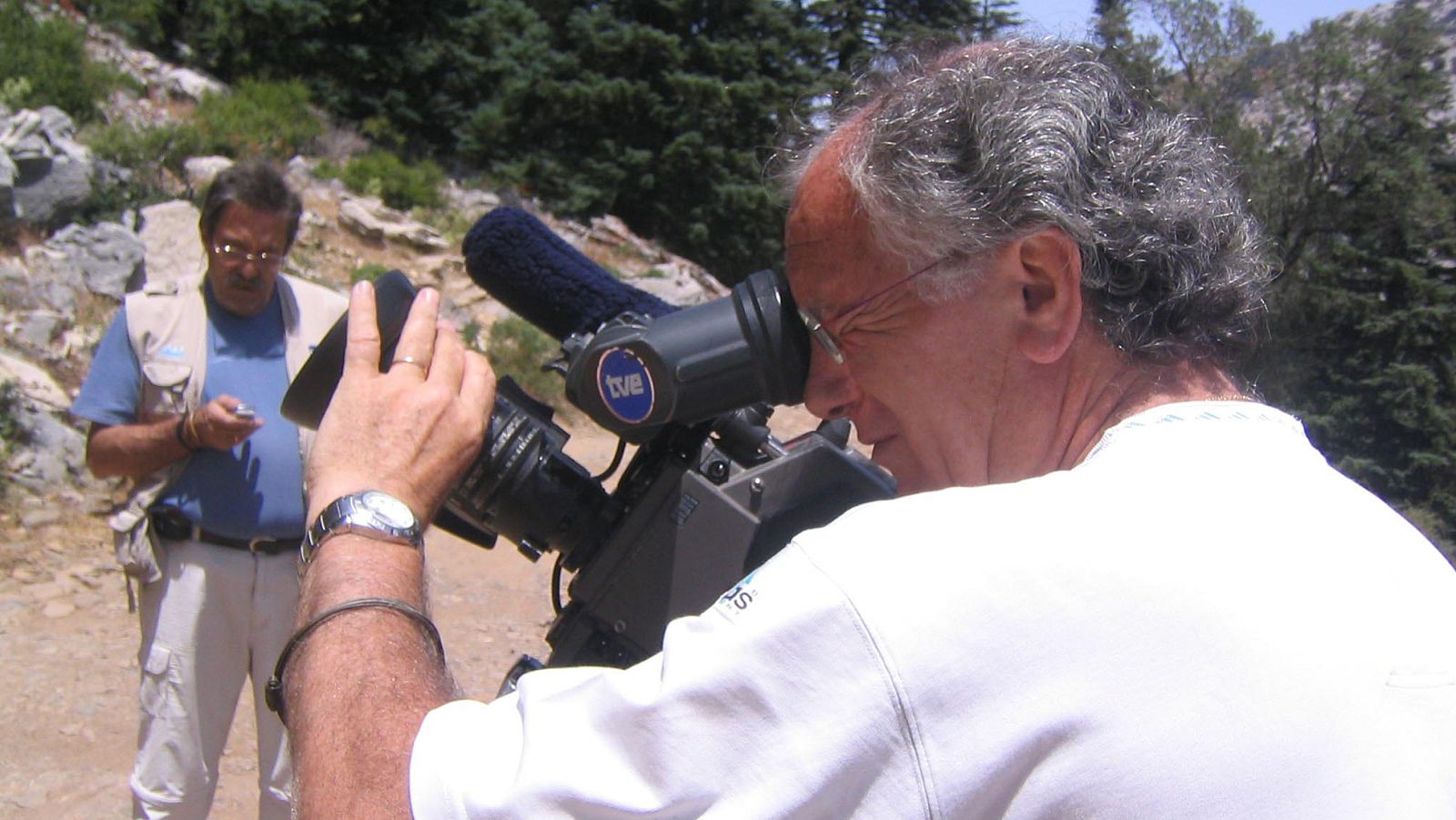 El bosque protector - Cambio climático y su influencia en los bosques españoles - ver ahora