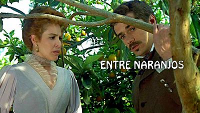 Entre naranjos
