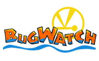 S.O.S. Libélula (Bugwatch)