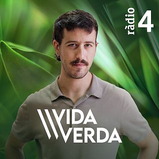 Vida Verda - 12/09/26
