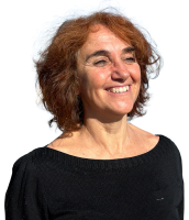 Vida verda