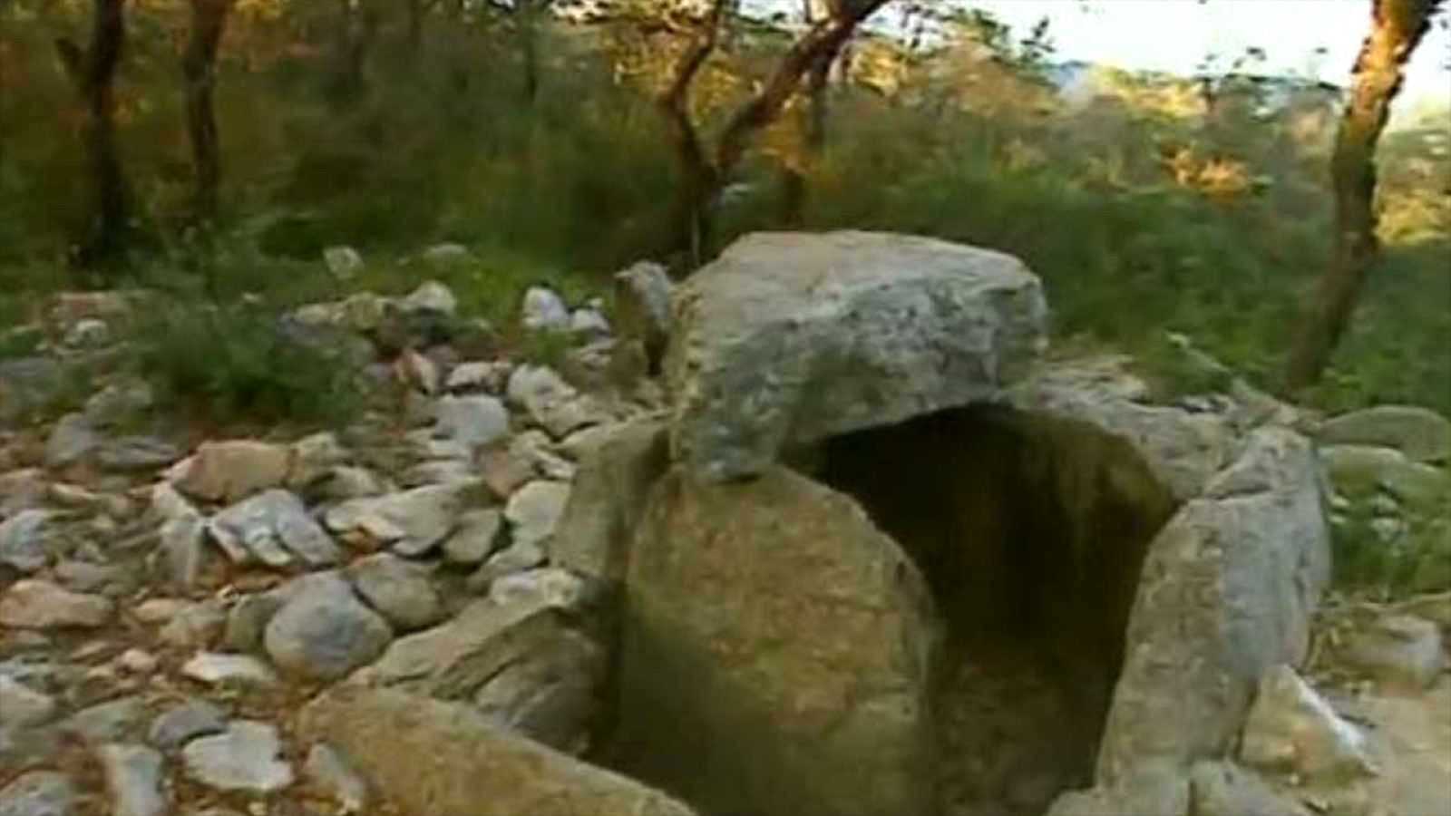 Racons de verd (1/10/2010)