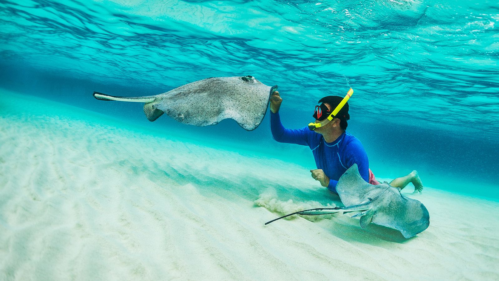 Bubbles - Mabul-Sipadan - ver ahora