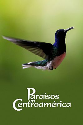 Parasos de Centroamrica
