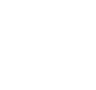 Tesoro del sur
