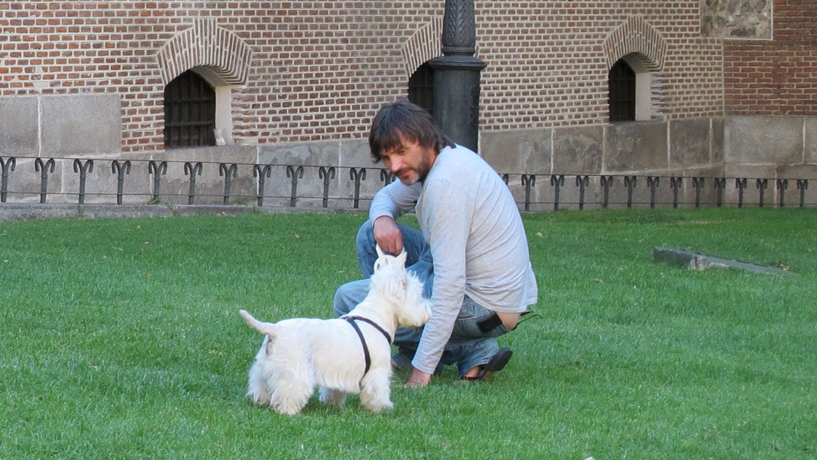 Más que perros y gatos - Capítulo 7 - Ver ahora