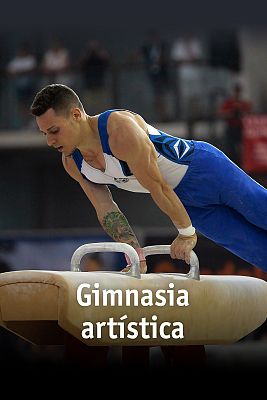 Gimnasia artística