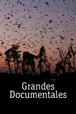 Grandes documentales
