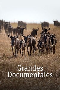 Grandes documentales