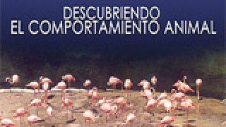 Descubriendo el comportamiento animal