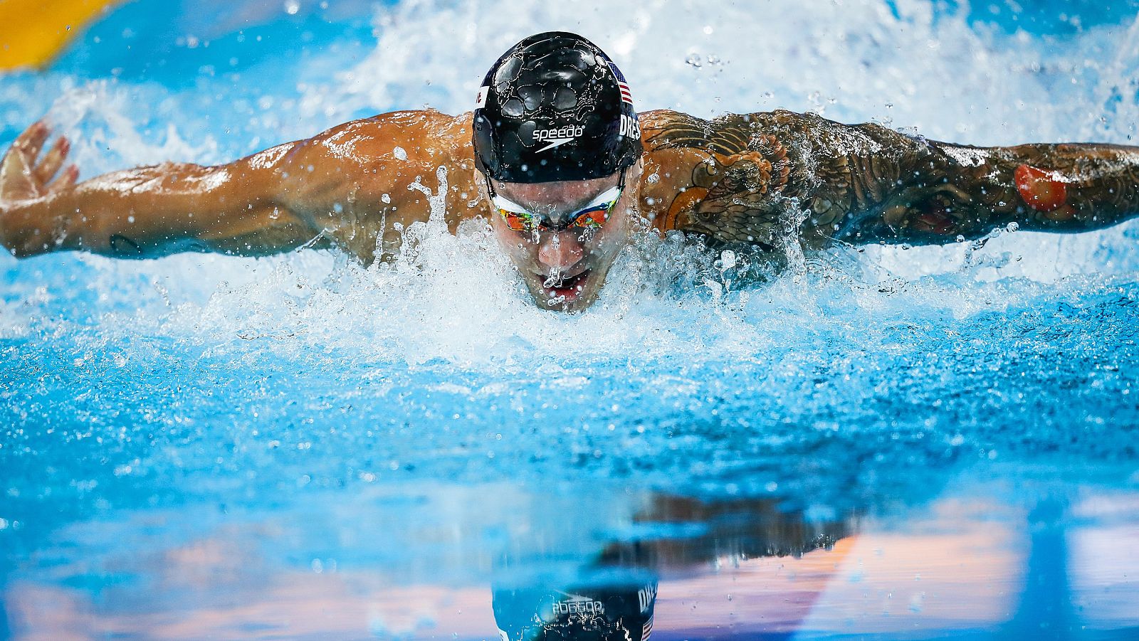 Natación - Campeonato de Europa de Piscina Corta. Medallas de Oro - Natación | Ver