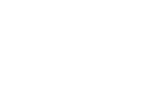 Archivo Constitución