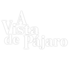 A vista de pájaro