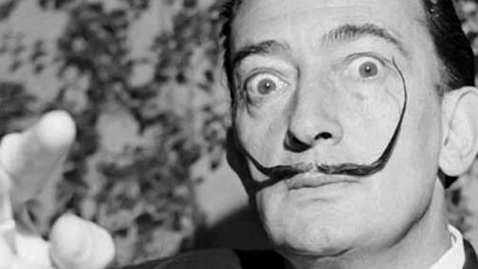 Arxiu TVE Catalunya - Dalí 1904-1989 - Col.loqui