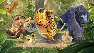 La panda de la selva