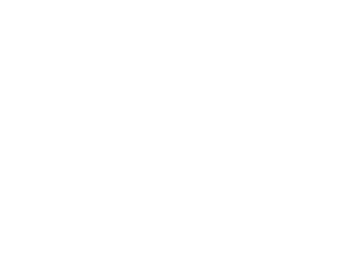Los objetos y la historia