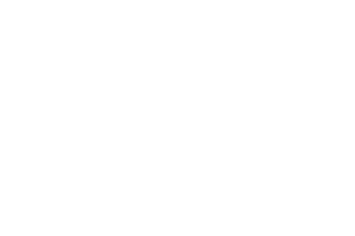 Procesadora