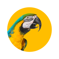 Latinator