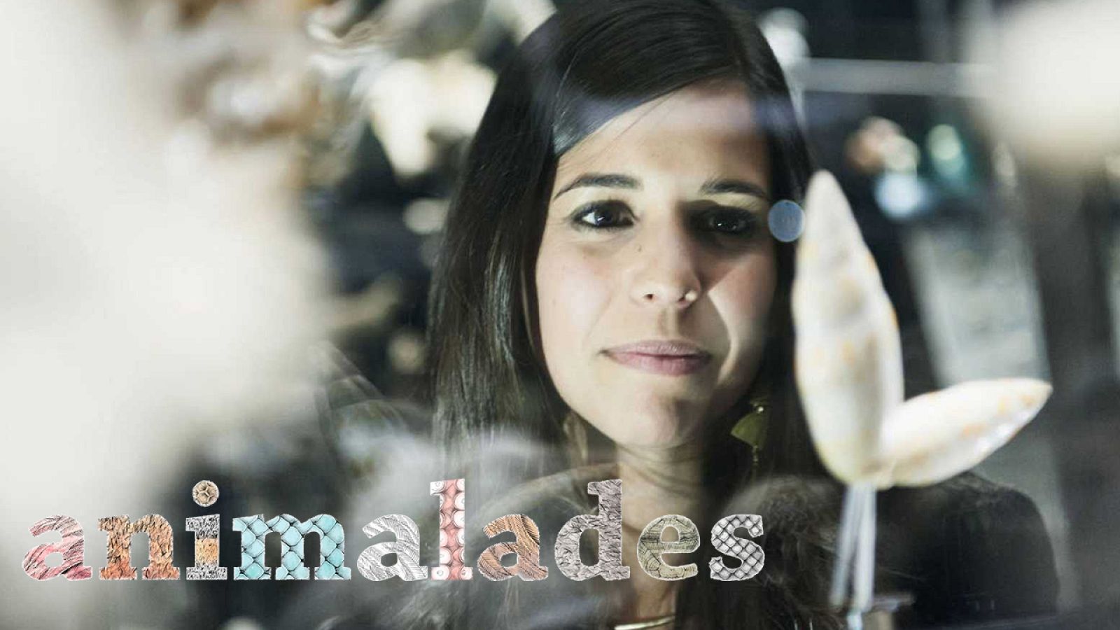 Animalades - Terra Baixa